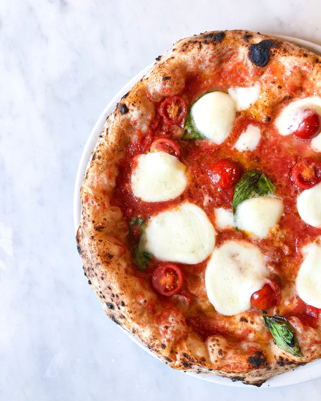 The Ultimate Guide to Napoletan Pizza: Everything You Need to Know
